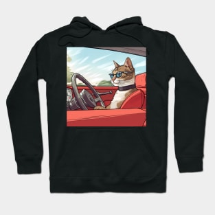 Cat Wearing Glasses Driving A Car Hoodie